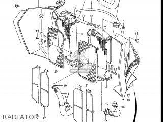 RADIATOR - RM250 1985 (F) USA (E03)
