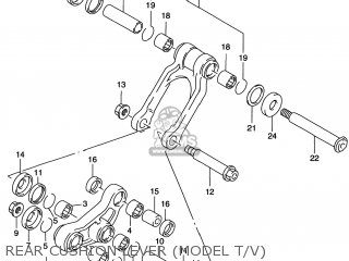 REAR CUSHION LEVER (MODEL T/V) - RM250 2000 (Y) USA (E03)