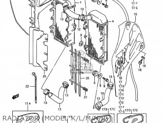 RADIATOR (MODEL K/L/M/N/P) - RMX250 1993 (N) USA (E03)