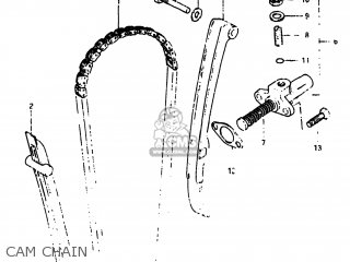 CAM CHAIN - SP500 1981 (X) USA (E03)