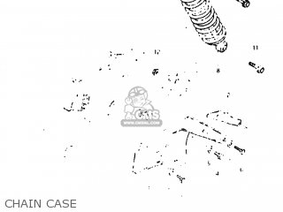 CHAIN CASE - SP500 1982 (Z) USA (E03)