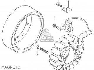 MAGNETO - TL1000S 2000 (Y) USA (E03)