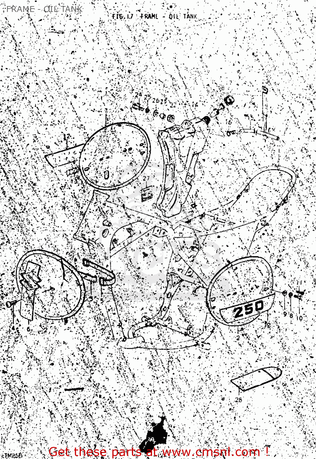 FRAME - OIL TANK TM250 1975 (M) USA (E03)
