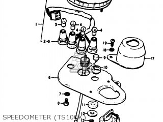 SPEEDOMETER (TS100K) - TS100 1973 (K) USA (E03)