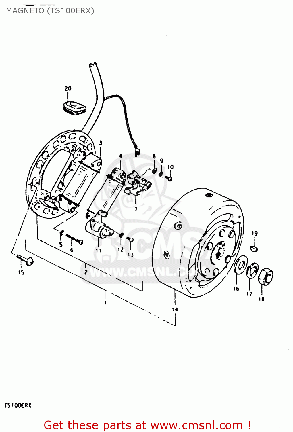 MAGNETO (TS100ERX) TS100ER 1980 (T) (E01 E02 E09 E24 E30)