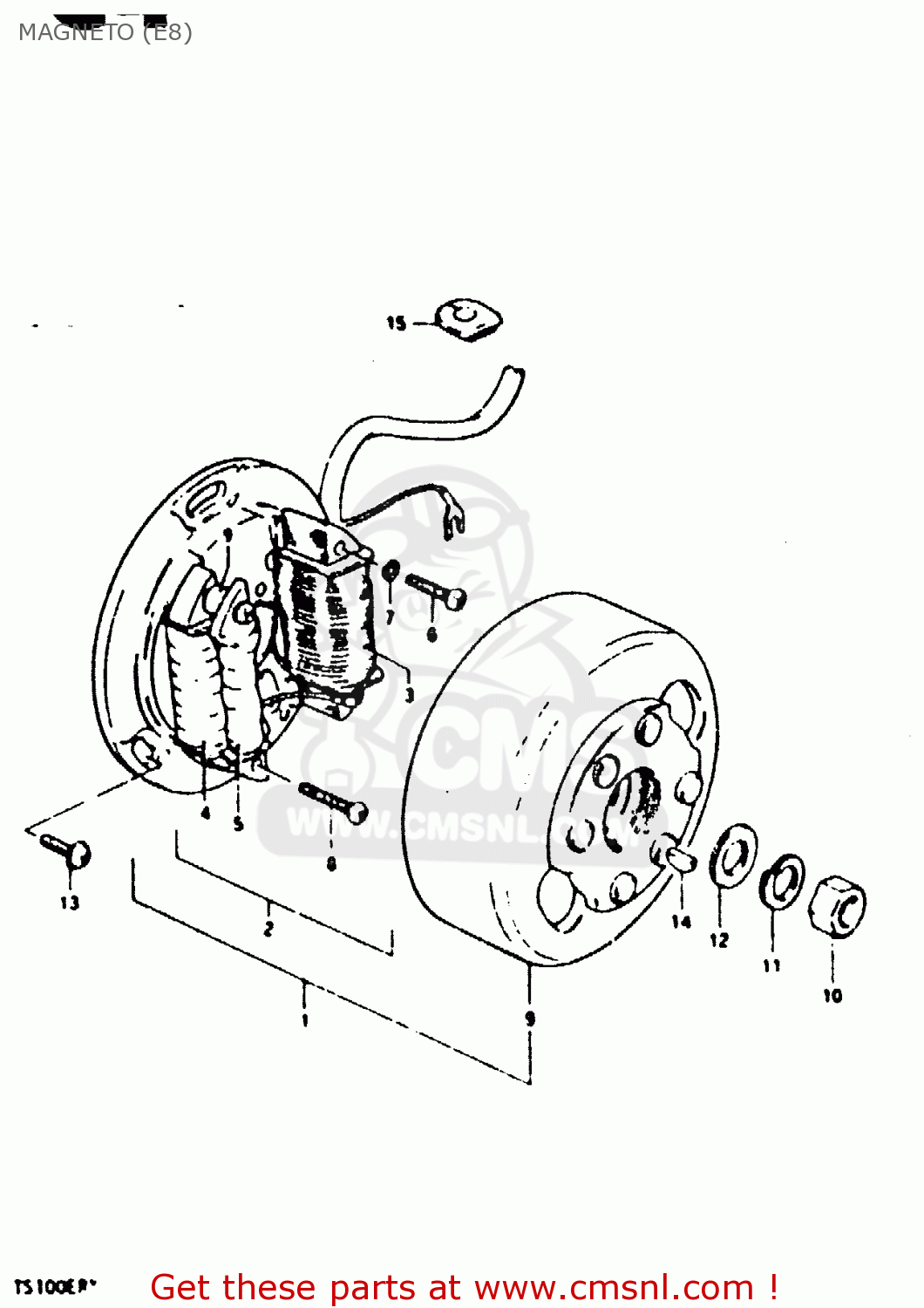 MAGNETO (E8) TS100ERX 1981 (ERX) (E01 E02 E08 E09 E10 E24 E30)