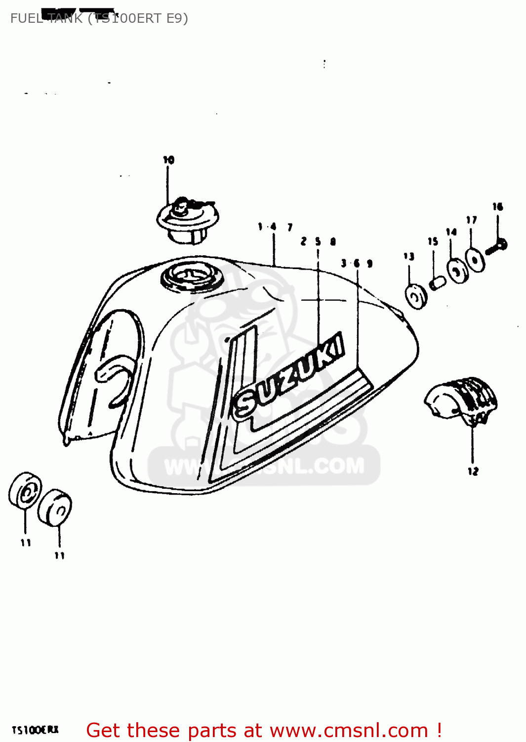 FUEL TANK (TS100ERT E9) TS100ERX 1981 (ERX) (E01 E02 E08 E09 E10 E24 E30)