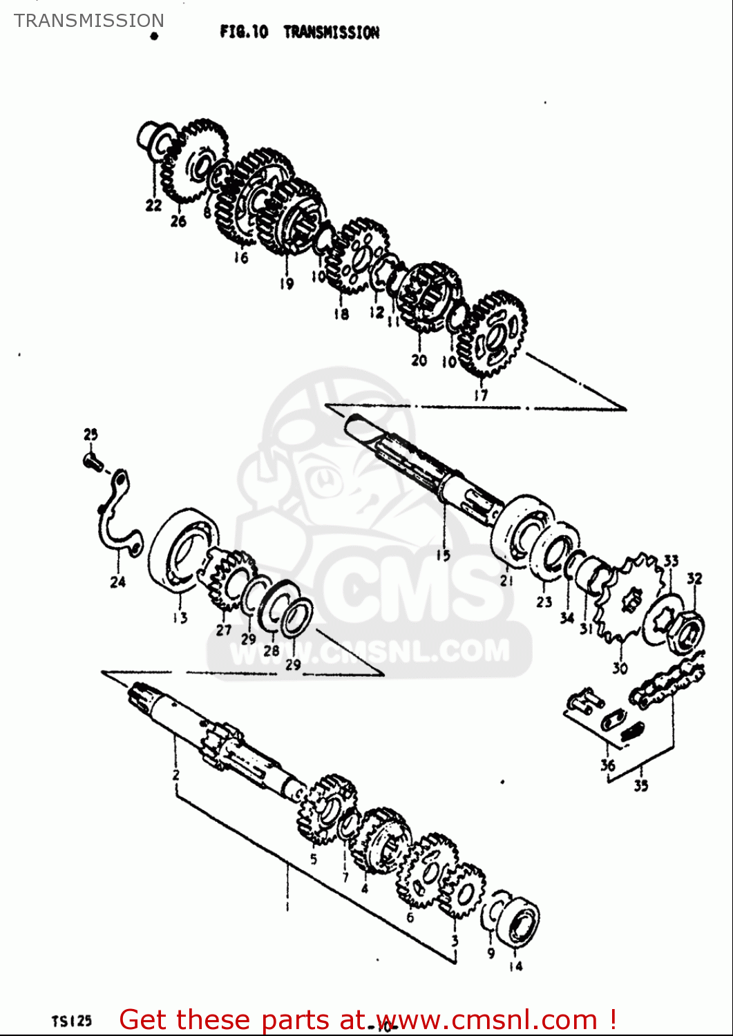TRANSMISSION TS125 1971 1972 (R) (J) USA (E03)