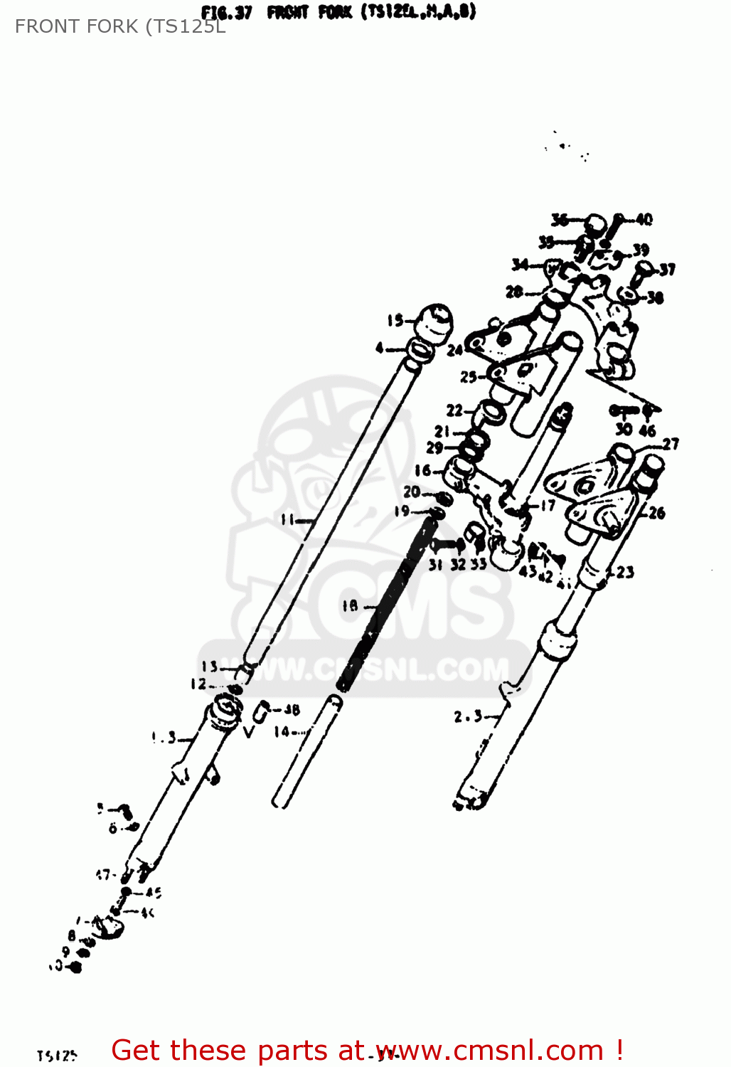 FRONT FORK (TS125L TS125 1975 (M) USA (E03)