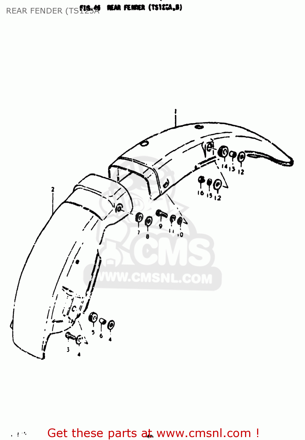 REAR FENDER (TS125A TS125 1975 (M) USA (E03)