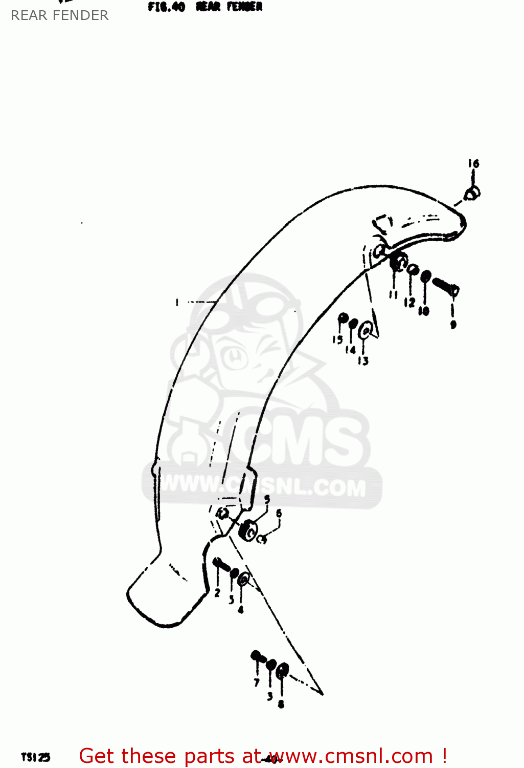 REAR FENDER TS125 1978 (C) USA (E03)