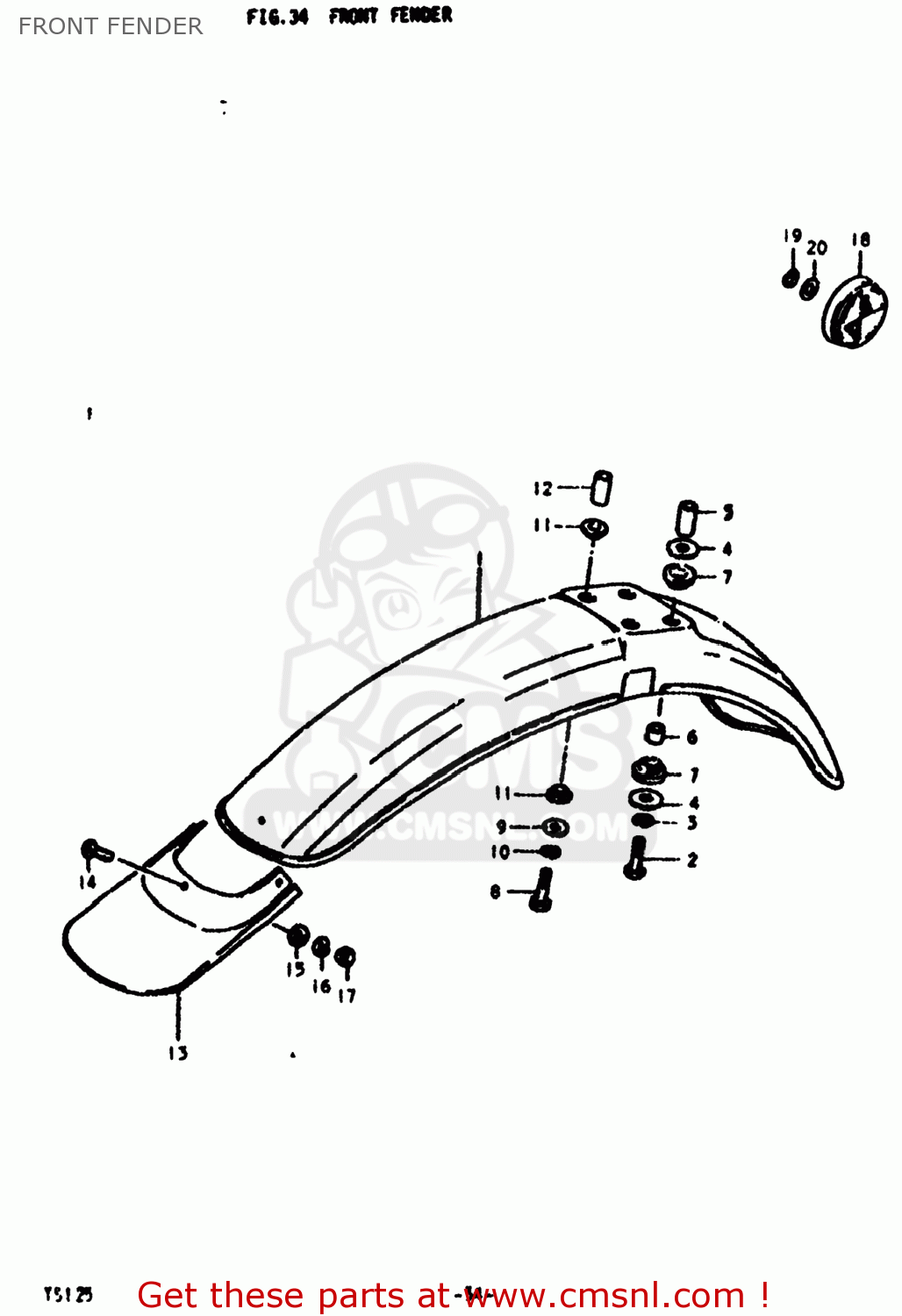 FRONT FENDER TS125 1979 (N) USA (E03)