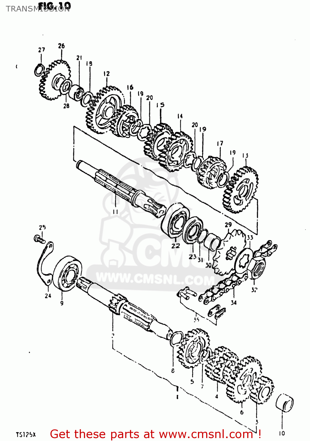 TRANSMISSION TS125 1981 (X) USA (E03)
