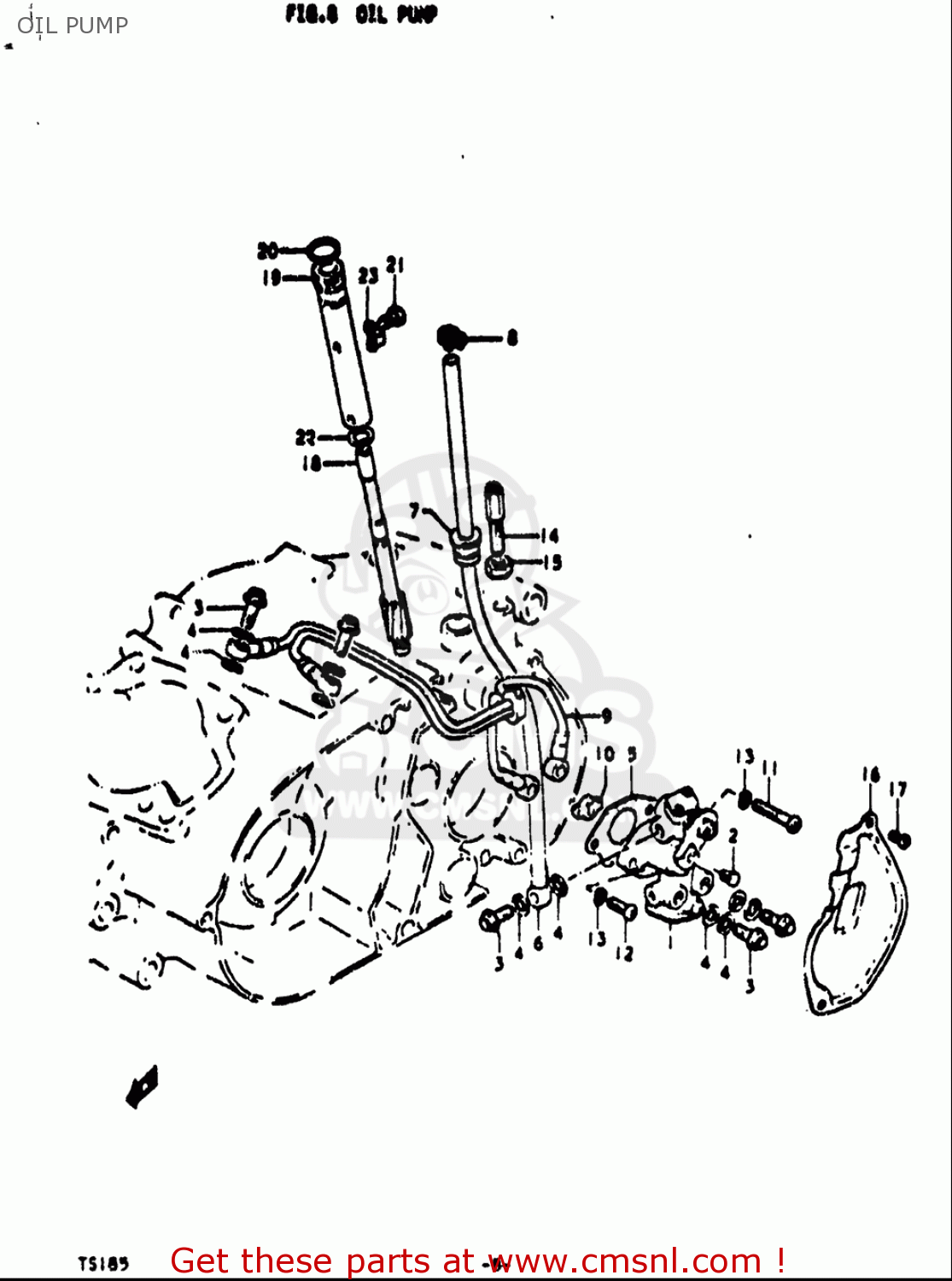 OIL PUMP TS185 1971 1972 (R) (J) USA (E03)