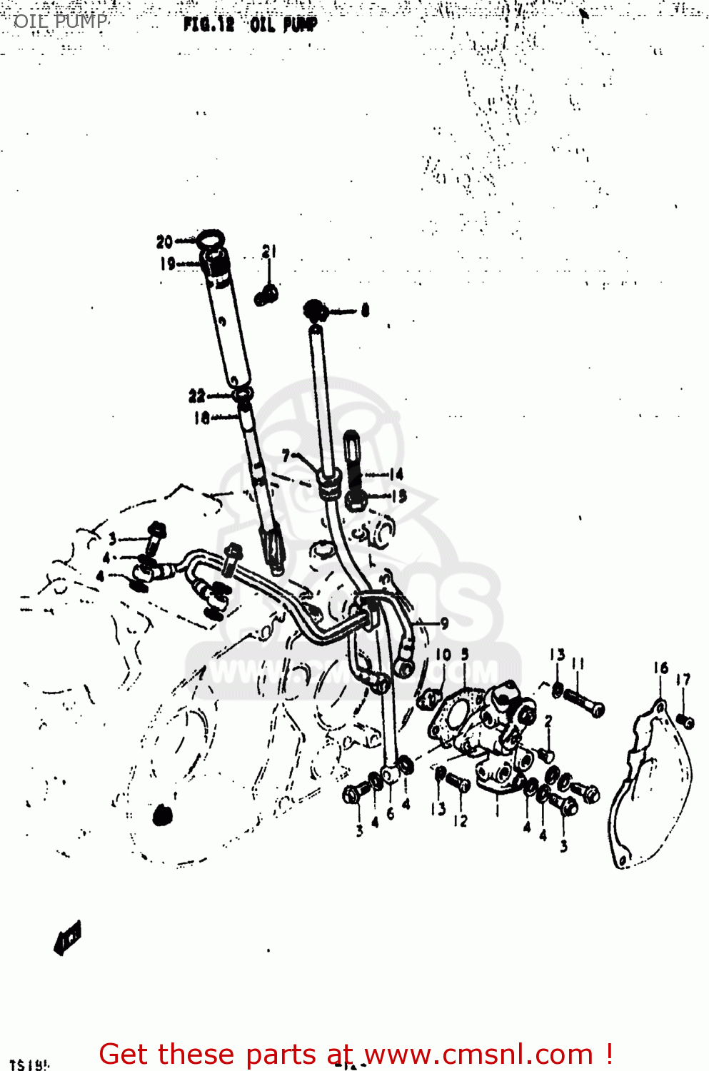 OIL PUMP TS185 1975 (M) USA (E03)