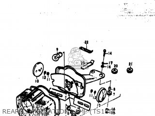 REAR COMBINATION LAMP (TS185L - TS185 1976 (A) USA (E03)