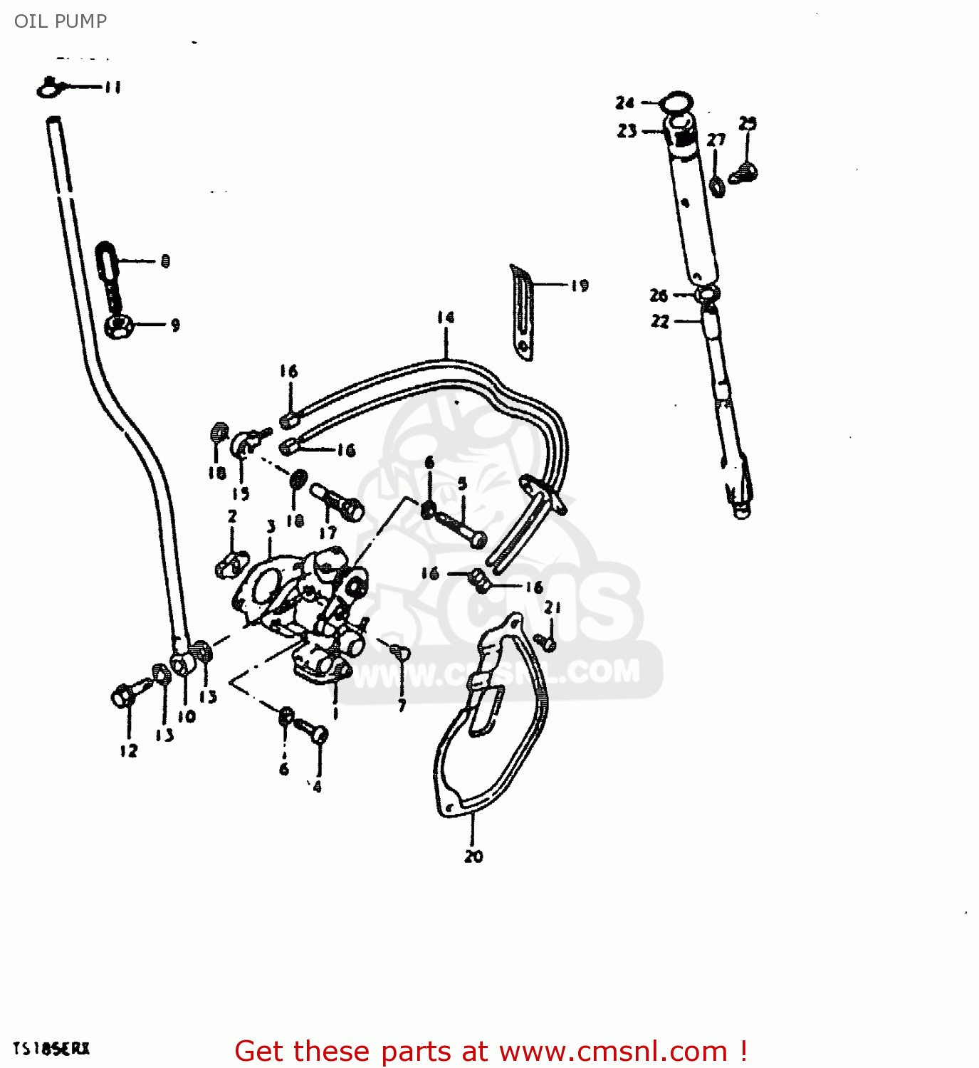 OIL PUMP TS185ER 1981 (X) (E01 E02 E04 E09 E21 E22 E24 E26 E30)