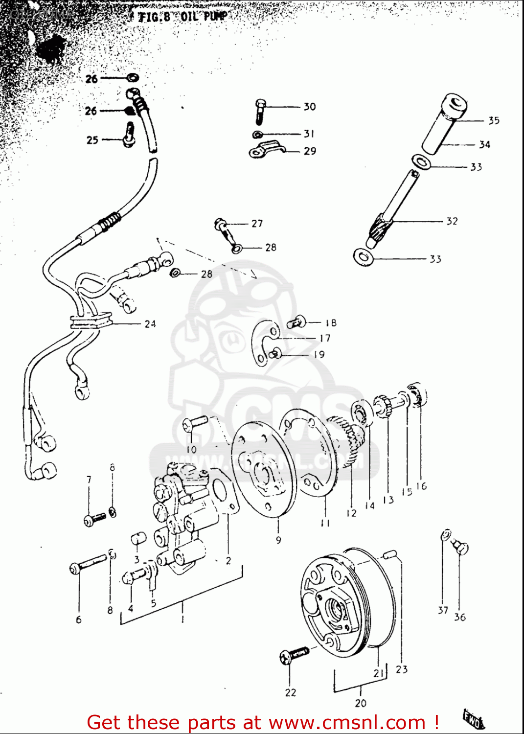OIL PUMP TS250 19691970 USA (E03)