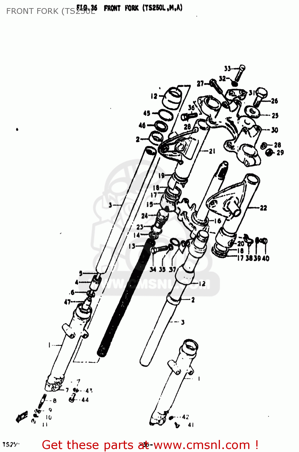 FRONT FORK (TS250L TS250 1974 (L) USA (E03)