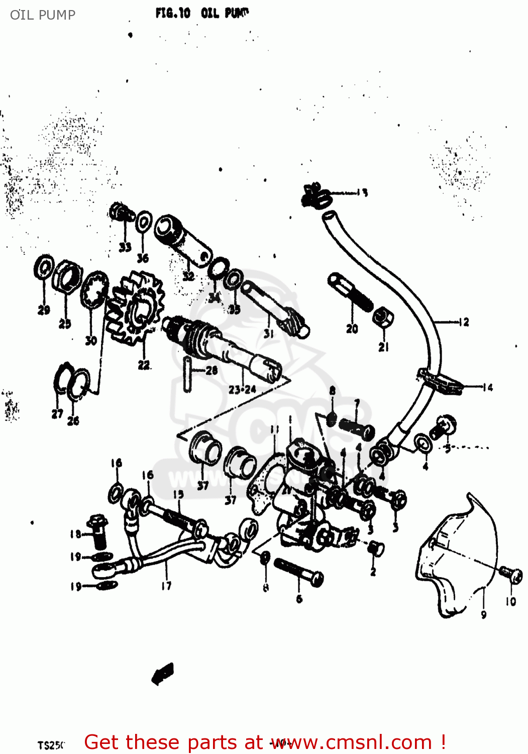 OIL PUMP TS250 1976 (A) USA (E03)