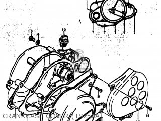 CRANKCASE COVER (TS250A) - TS250 1976 (A) USA (E03)
