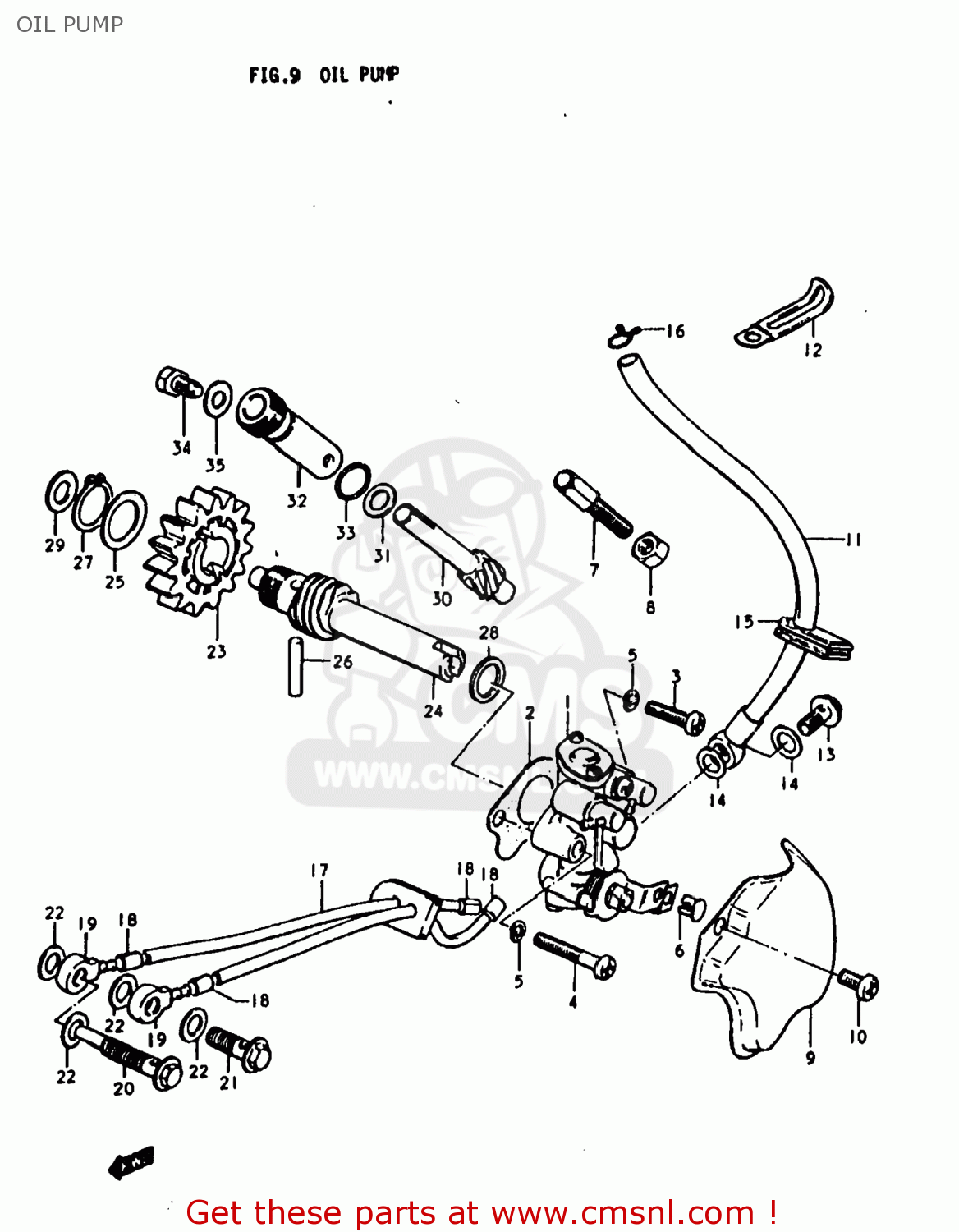 OIL PUMP TS250 1977 (B) USA (E03)