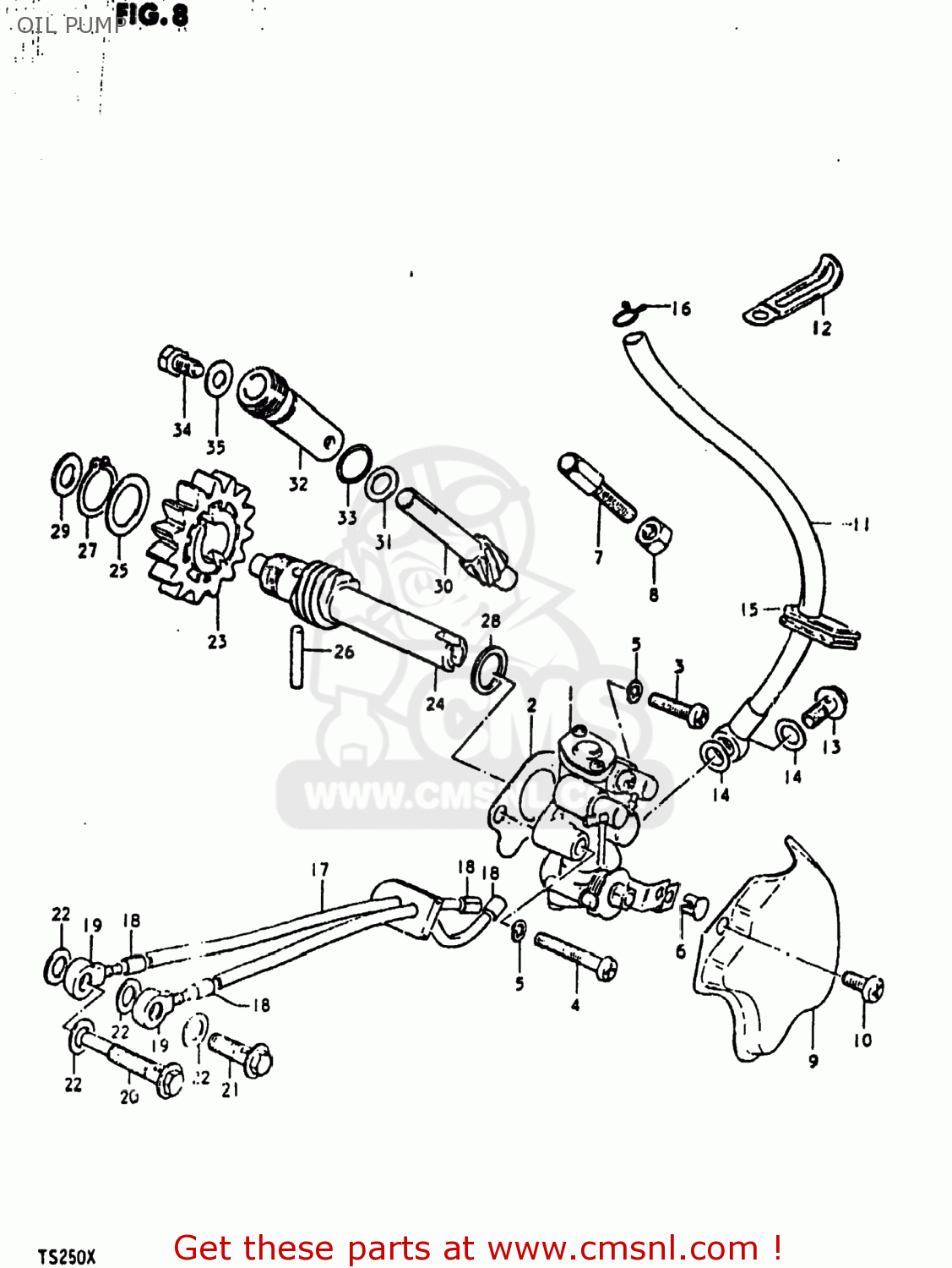 OIL PUMP TS250 1980 (T) USA (E03)