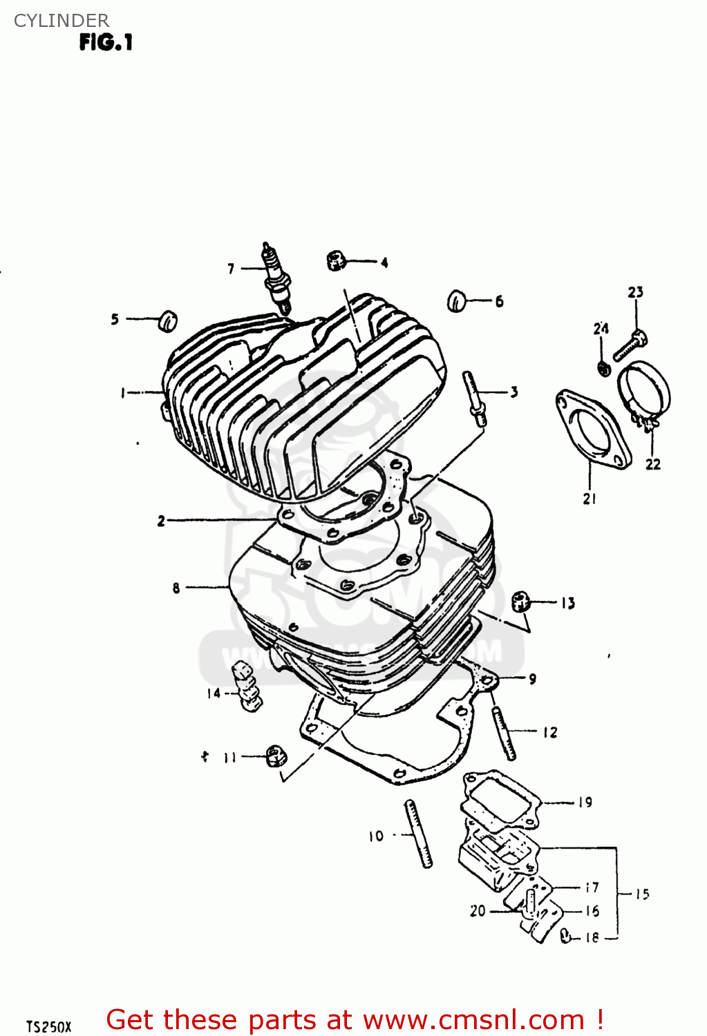 CYLINDER TS250 1981 (X) USA (E03)