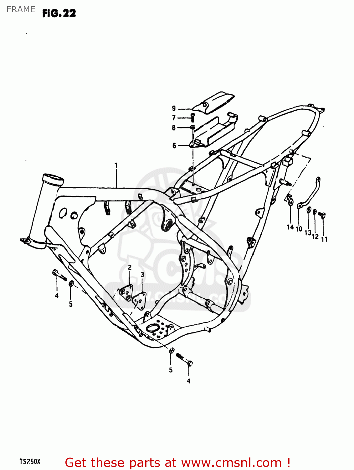 FRAME TS250 1981 (X) USA (E03)