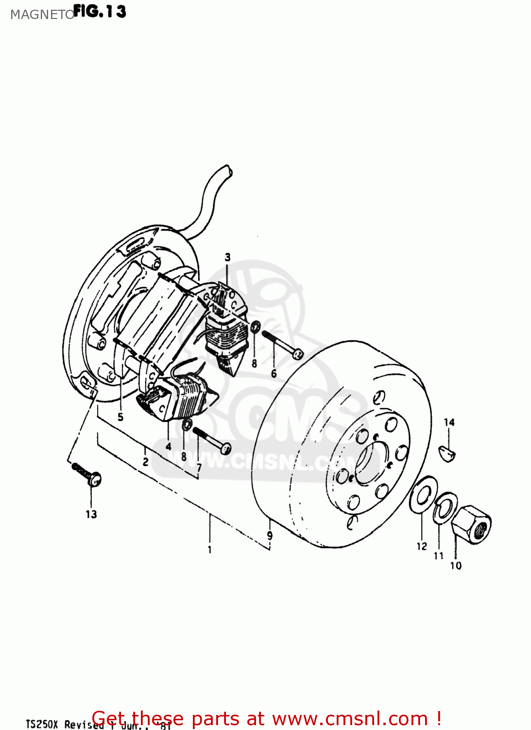 MAGNETO TS250 1981 (X) USA (E03)