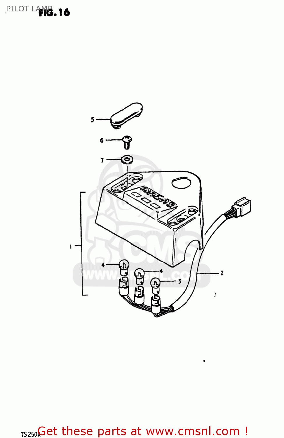 PILOT LAMP TS250 1981 (X) USA (E03)