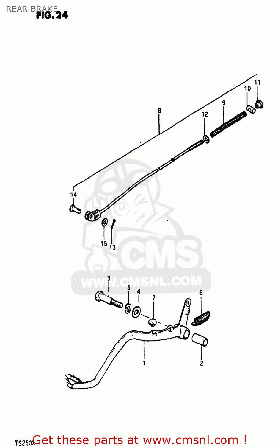 REAR BRAKE TS250 1981 (X) USA (E03)