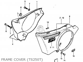FRAME COVER (TS250T) - TS250 1981 (X) USA (E03)
