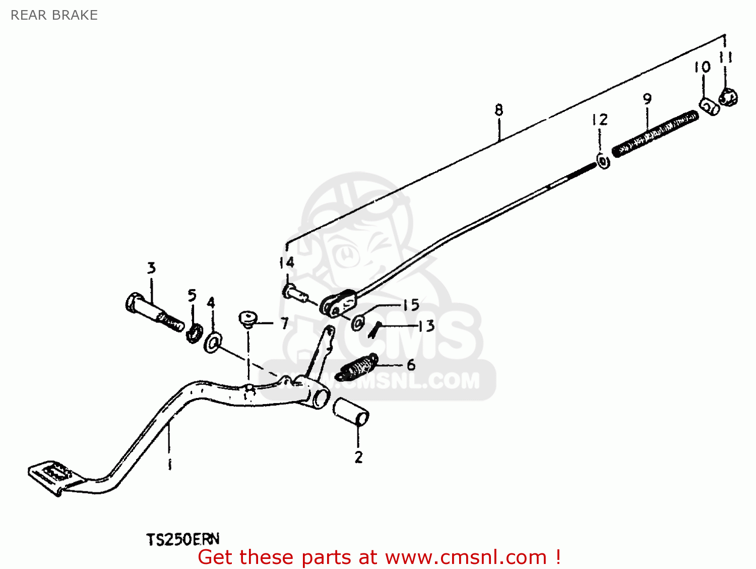 REAR BRAKE TS250ER 1979 (N) (E01 E02 E04 E16 E18 E22 E24 E39)