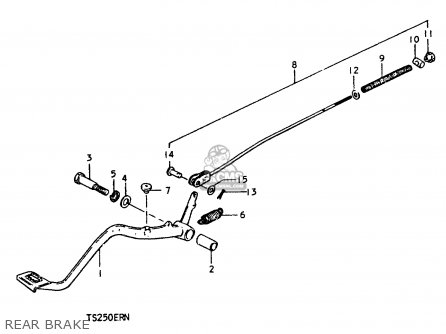 REAR BRAKE - TS250ER 1979 (N) (E01 E02 E04 E16 E18 E22 E24 E39)