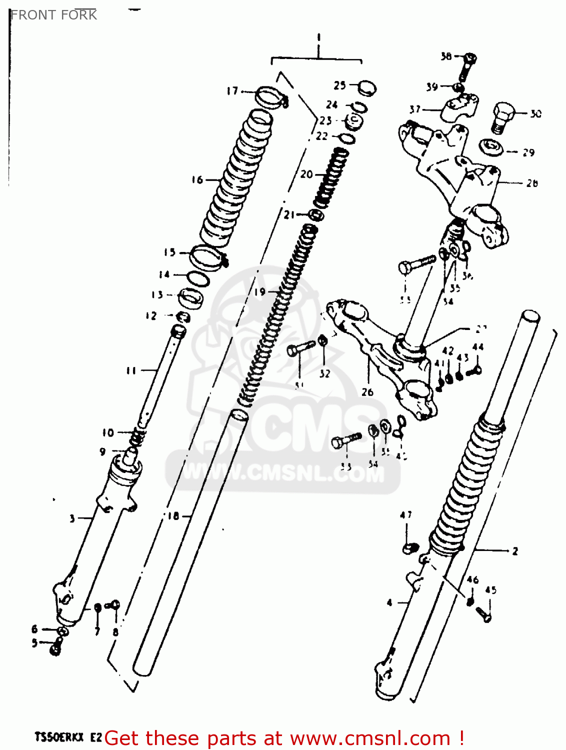 FRONT FORK TS50ERK 1981 (X) (E02 E16 E21 E22 E41)