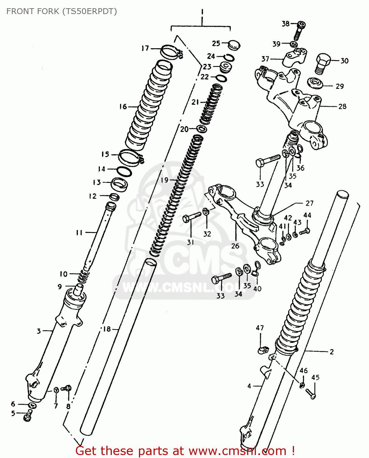 FRONT FORK (TS50ERPDT) TS50ERP 1981 (T) FRANCE NETHERLANDS (E04 E25)