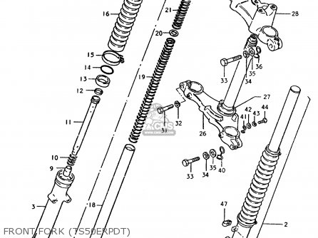 FRONT FORK (TS50ERPDT) - TS50ERP 1981 (T) FRANCE NETHERLANDS (E04 E25)