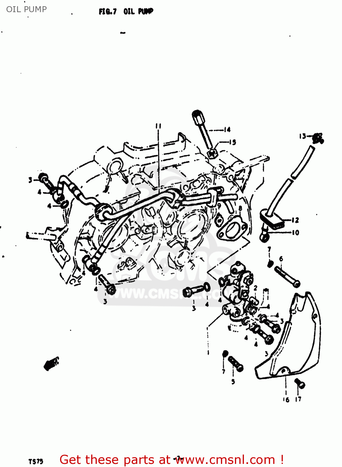 OIL PUMP TS75 1975 (M) USA (E03)