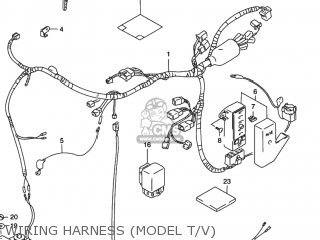 WIRING HARNESS (MODEL T/V) - VS800GL INTRUDER 1996 (T) USA (E03)