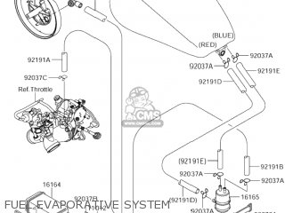 FUEL EVAPORATIVE SYSTEM - VZ1600 BOULEVARD M95 2005 (K5) CALIFORNIA (E33)