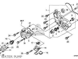 Cover, Water Pump photo