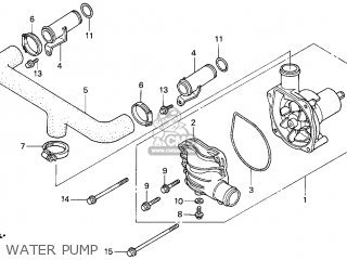 Cover, Water Pump photo