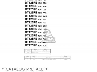 * CATALOG PREFACE * - DT125RE 2005 1D03 ITALY 1D1D0-300EA