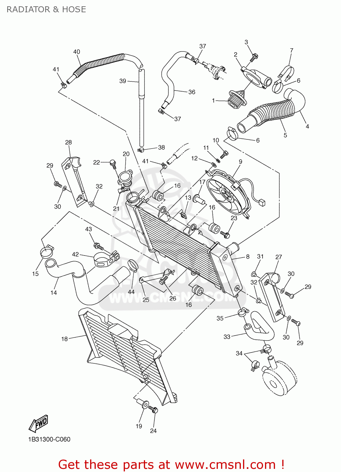 Yamaha FZ6-N 2006 1B37 ENGLAND 1E1B3-300E1 RADIATOR & HOSE - buy
