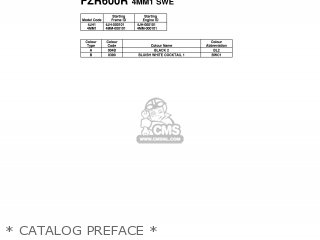 * CATALOG PREFACE * - FZR600R 1994 4MM1 SWITZERLAND 244JH-300E2