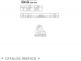 * CATALOG PREFACE * - TZR125 1993 4HX1 FINLAND 234JB-300E1