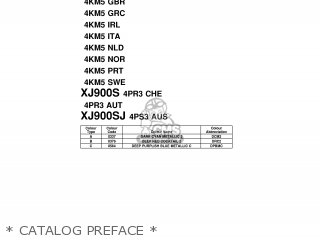 * CATALOG PREFACE * - XJ900S 1997 4KM5 GREECE 274KM-300E1