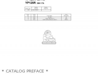 * CATALOG PREFACE * - YP125R 2006 1B91 FRANCE 1E1B9-332G1