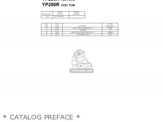 * CATALOG PREFACE * - YP250R 2005 1C01 HOLLAND 1D1C0-300E1